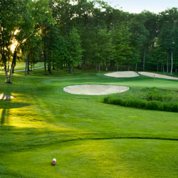 par 3 golf tee and green